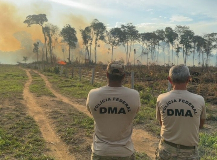 PF prende mulher por incêndio criminoso em área de floresta em Rondônia