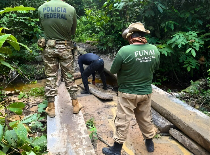 PF, PMRO e IBAMA combatem crimes ambientais em Rondônia