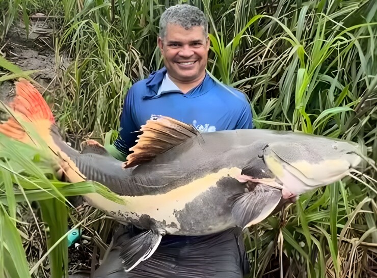 Pescador fisga pirarara gigante no Rio Madeira