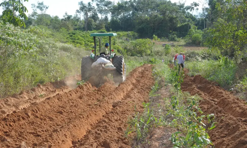 Dia do Agronegócio: governo de RO destaca força do homem do campo e celebra setor que impulsiona a agricultura rural