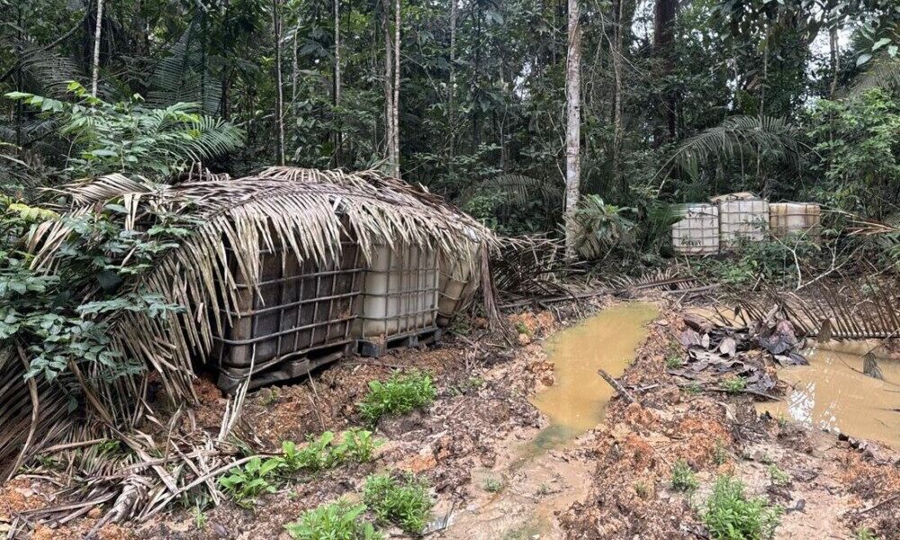 PF e Ibama deflagram operação em combate ao garimpo ilegal na Terra Indígena Sete de Setembro