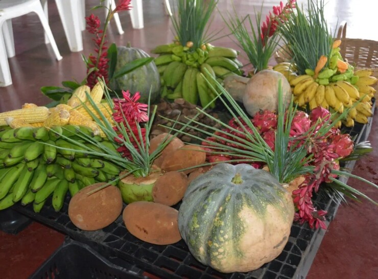 Edital de chamada pública do PAA é publicado pelo governo de RO para compra de alimentos da agricultura familiar