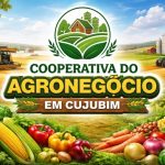 Reunião define abertura de nova filial da Cooperativa do Agronegócio em Cujubim