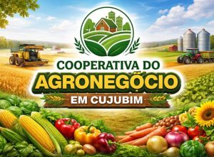 Reunião define abertura de nova filial da Cooperativa do Agronegócio em Cujubim
