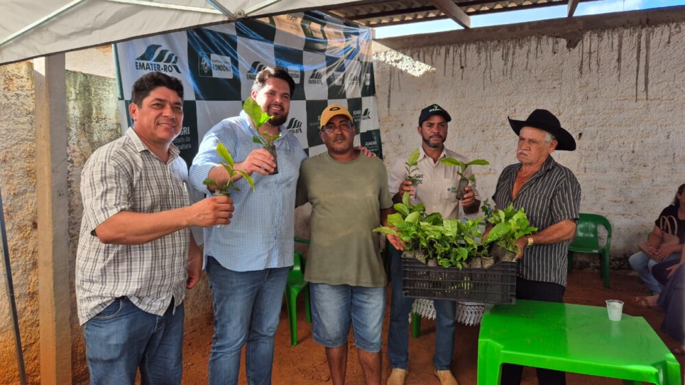 Deputado Jean Oliveira entrega 45 mil mudas de café para produtores de Alto Alegre dos Parecis