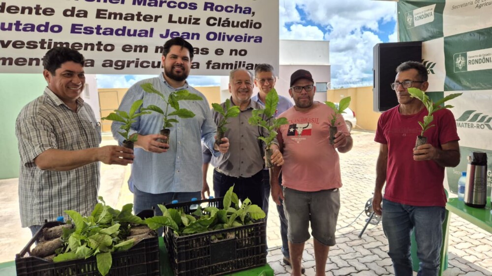 Deputado Jean Oliveira entrega mais de 147 mil mudas de café para produtores de Rolim de Moura