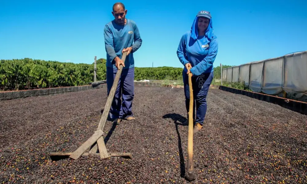 Governo de RO comemora o Dia Mundial da Agricultura e destaca a força do campo no desenvolvimento do estado