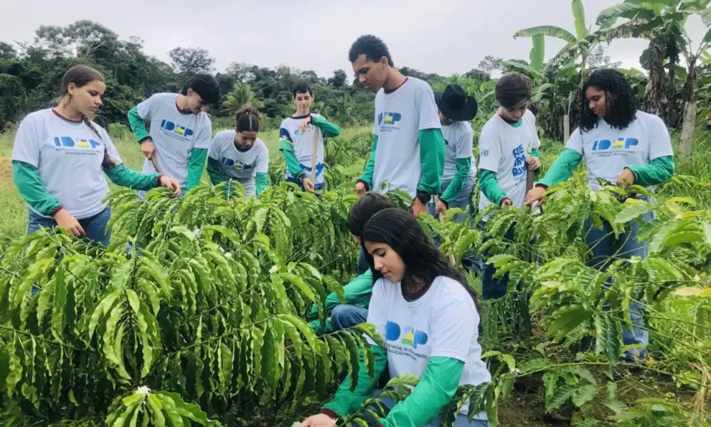 Formação técnica fortalece agricultura familiar e prepara jovens para atuar nas propriedades rurais em Rondônia