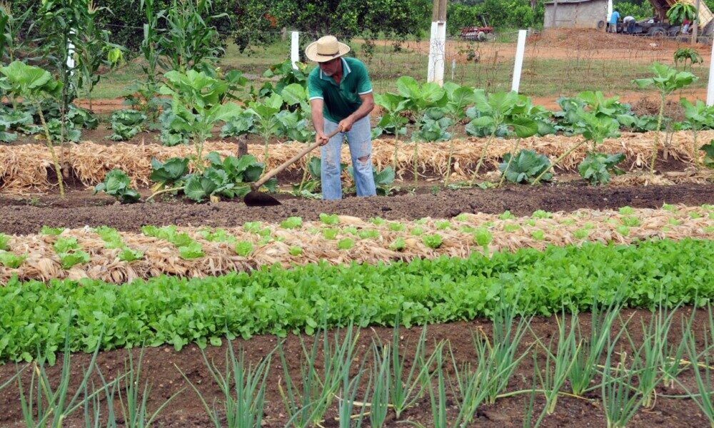 Parceria amplia acesso ao crédito rural a agricultores familiares em Rondônia