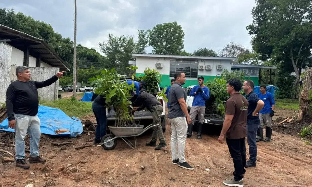 Viveiro de produção de mudas nativas fortalece recomposição florestal e impulsiona recuperação ambiental em Rondônia