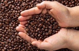 Rondônia exportou café para 31 países em 2024. Nenhum comprador chegou pelo buscador