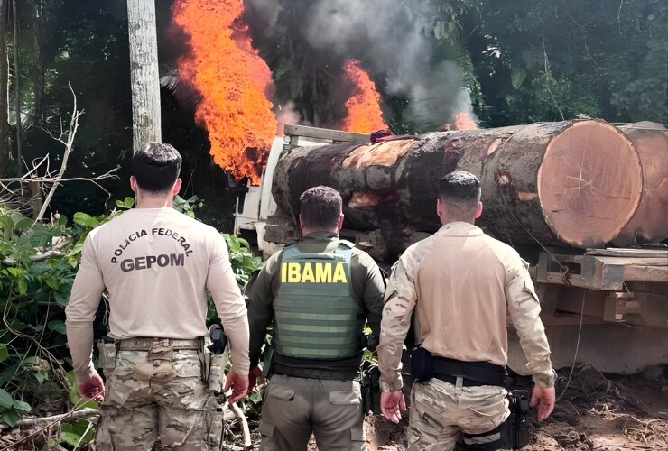 PF, Funai, Ibama e EB combatem crimes ambientais em Rondônia