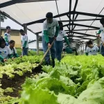 Educação profissional apresenta investimentos em cursos técnicos do agro durante 13ª Rondônia Rural Show Internacional