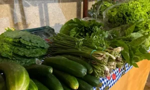 Governo de RO fortalece agricultura familiar por meio do edital PAA Rondônia 2026