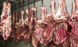 União Europeia anuncia proibição de importação de carne brasileira
