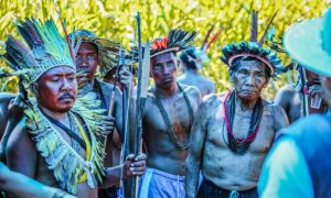 Terras indígenas impulsionadas em polos de bioeconomia na Amazônia com ações do governo de RO