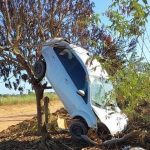 Veículo fica pendurado em árvore após acidente na zona rural de São Miguel do Guaporé