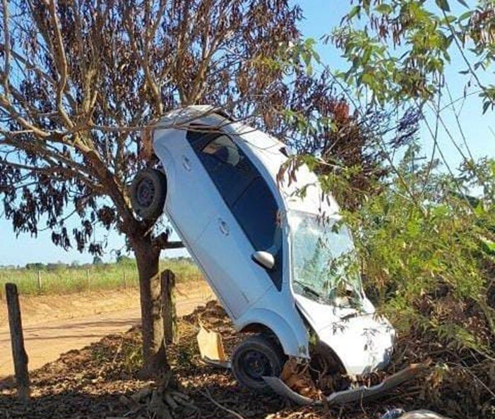 Veículo fica pendurado em árvore após acidente na zona rural de São Miguel do Guaporé