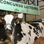 Concurso evidencia avanços da pecuária leiteira impulsionados pela assistência técnica em todo o estado