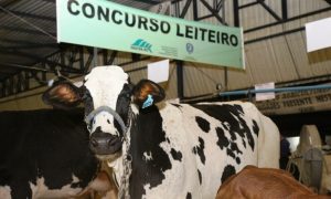 Concurso evidencia avanços da pecuária leiteira impulsionados pela assistência técnica em todo o estado