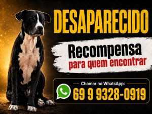 Cão desaparecido mobiliza família e oferece recompensa para quem encontrar