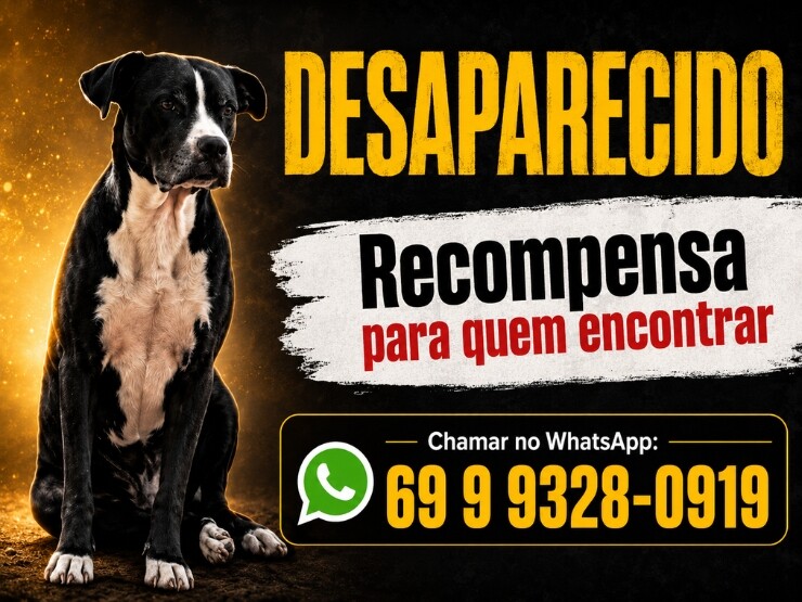 Cão desaparecido mobiliza família e oferece recompensa para quem encontrar
