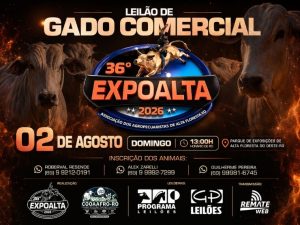 Leilão de Gado Comercial da 36ª Expoalta 2026 será realizado no dia 2 de agosto em Alta Floresta D'Oeste
